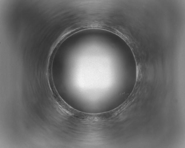 X0000075880195200609291649