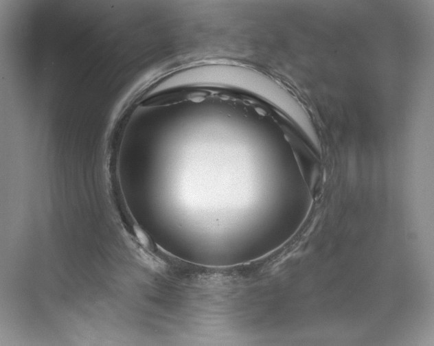 X0000075880197200609291648
