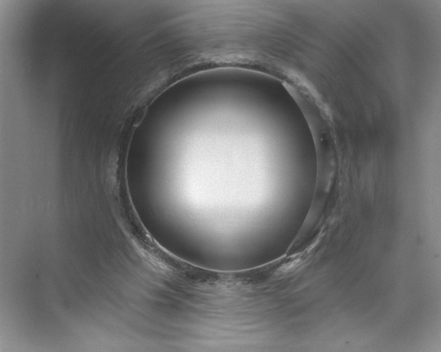X0000075880201200609291648