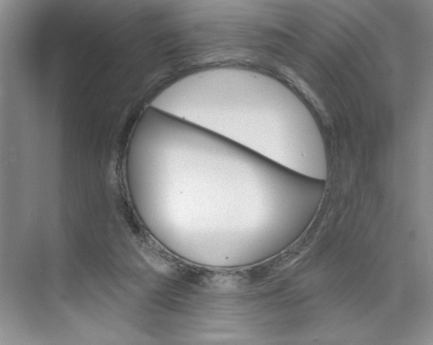 X0000075880209200609291648