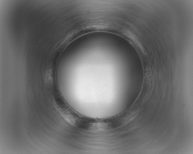 X0000075880212200609291648