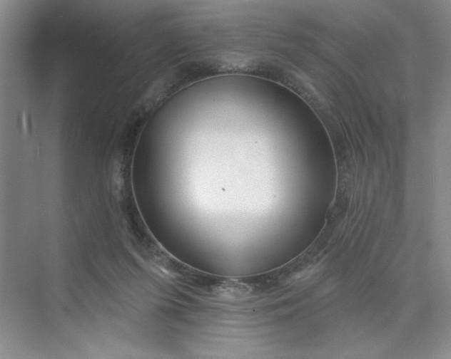 X0000075880215200609291648