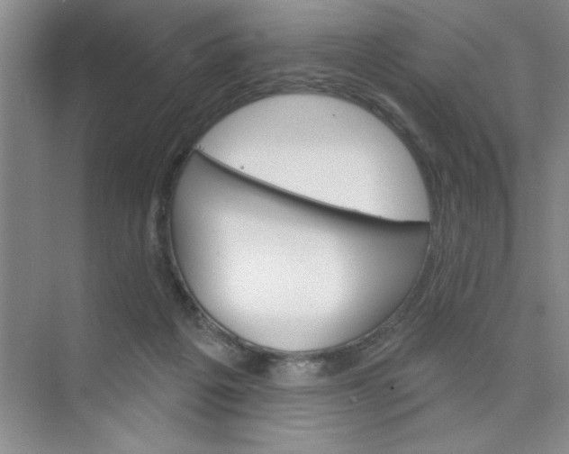 X0000075880217200609291648