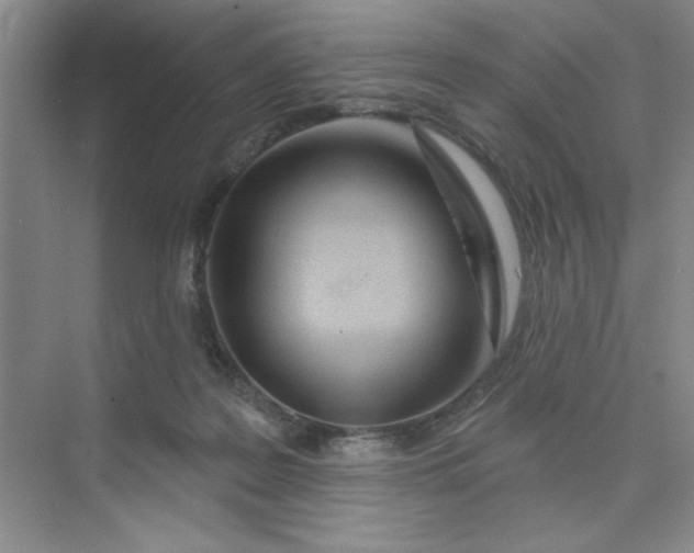 X0000075880219200609291648