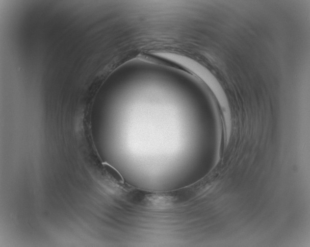 X0000075880221200609291648