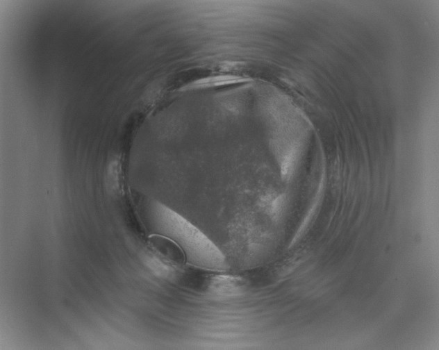 X0000075880222200609291648