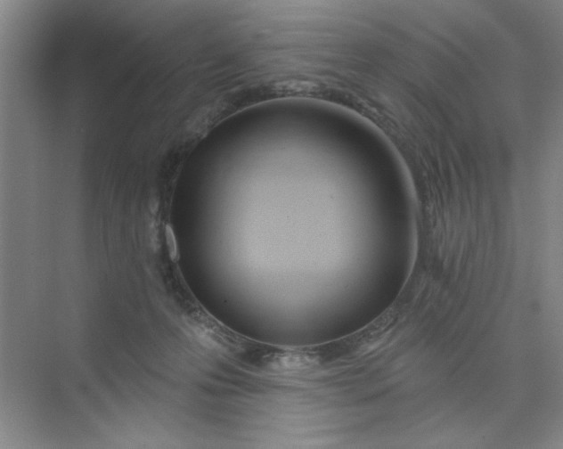 X0000075880223200609291648