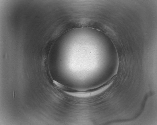X0000075880225200609291648