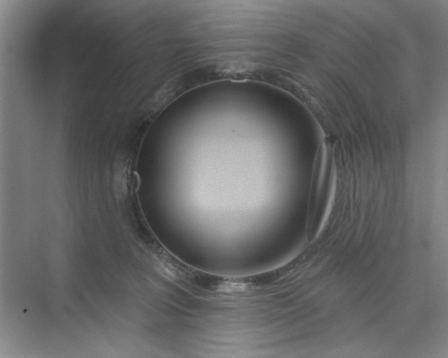 X0000075880227200609291648