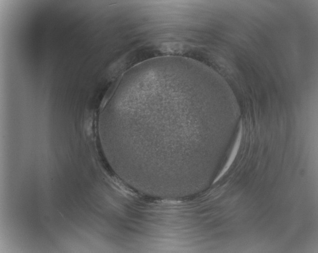X0000075880233200609291648