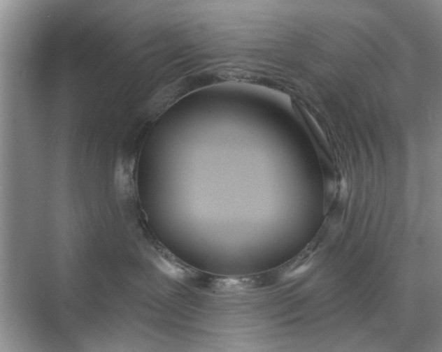 X0000075880239200609291648