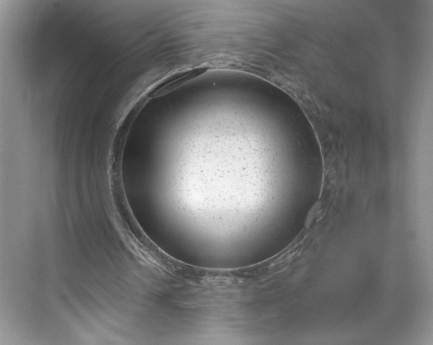 X0000075880242200609291647