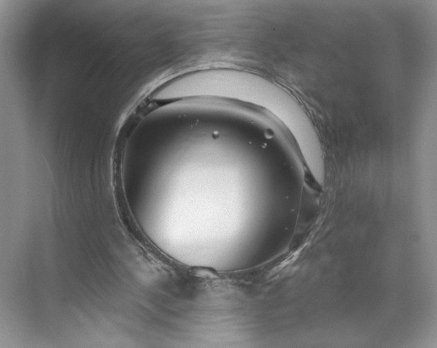X0000075880244200609291647