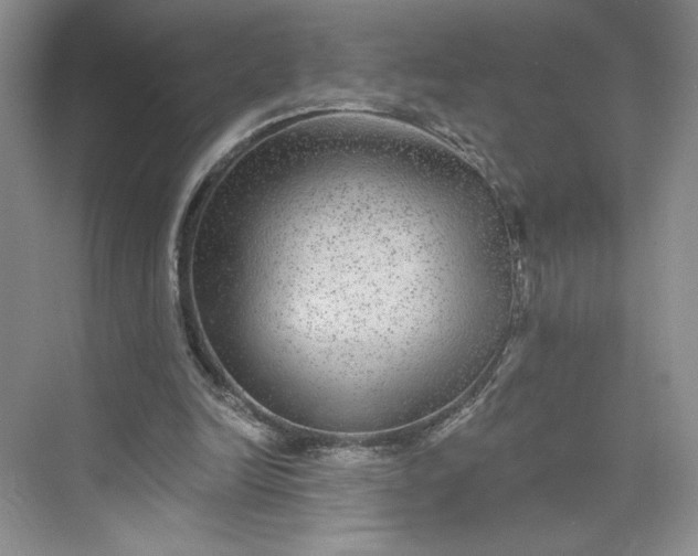 X0000075880246200609291647