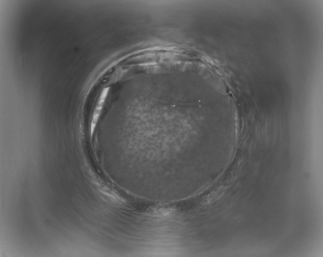 X0000075880247200609291647
