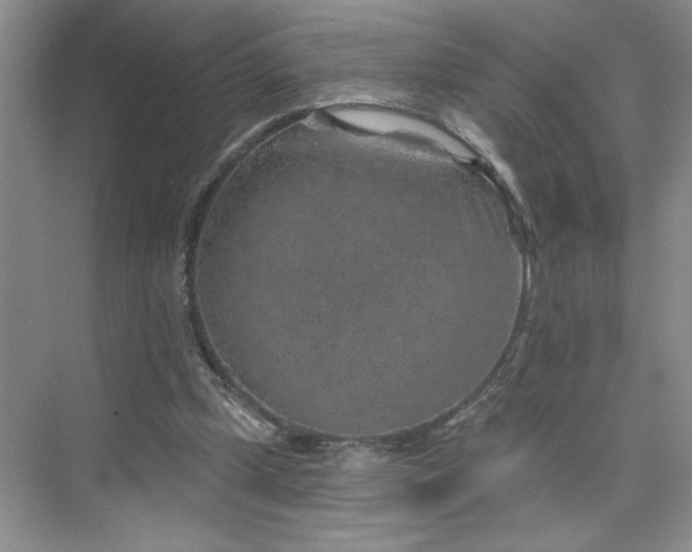 X0000075880249200609291647