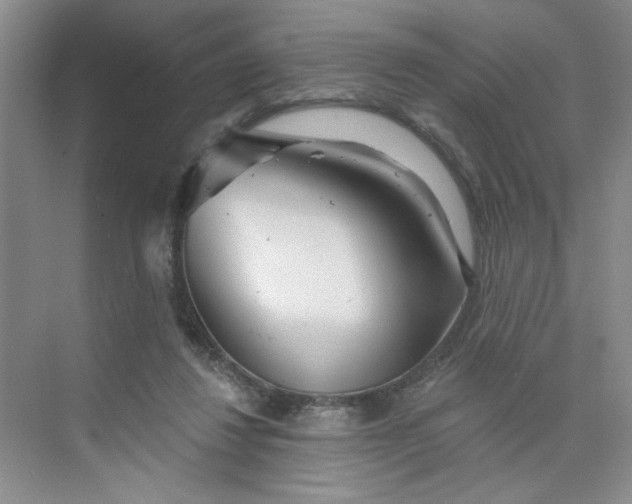X0000075880260200609291647