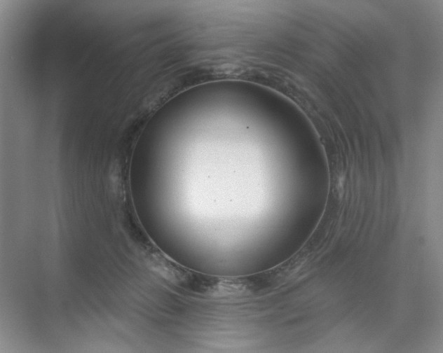 X0000075880270200609291647