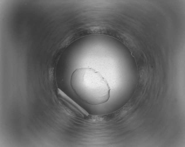 X0000075880278200609291648