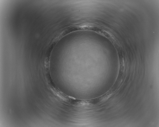X0000075880284200609291648