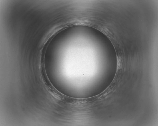 X0000075880291200609291647