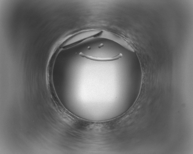 X0000075880294200609291647