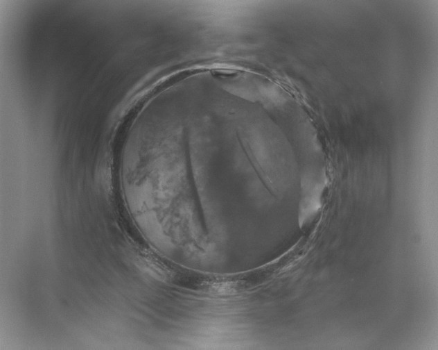 X0000075880295200609291647