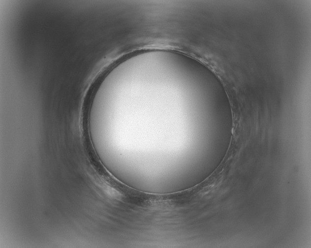 X0000075880296200609291647