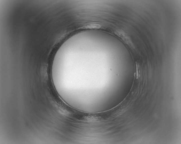X0000075880300200609291647