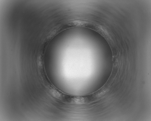 X0000075880317200609291646