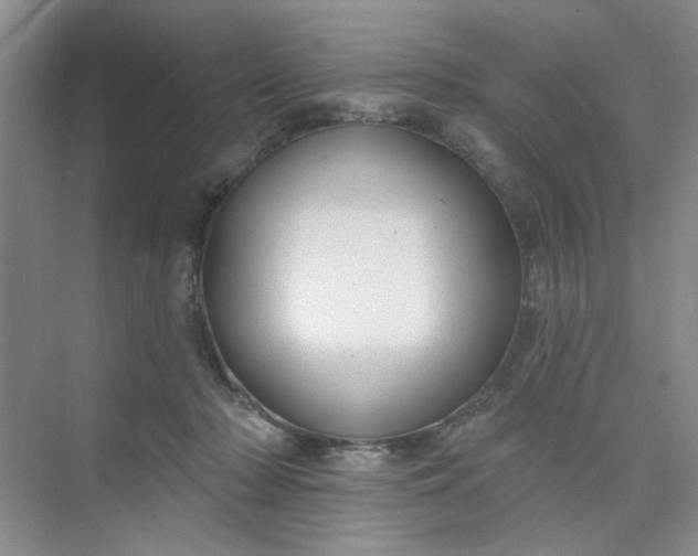 X0000075880318200609291646