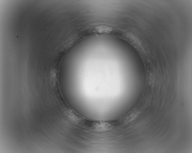 X0000075880321200609291646