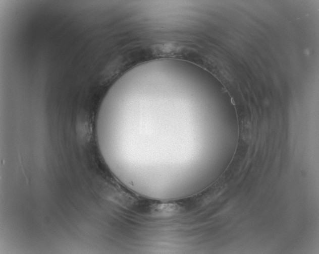 X0000075880324200609291646