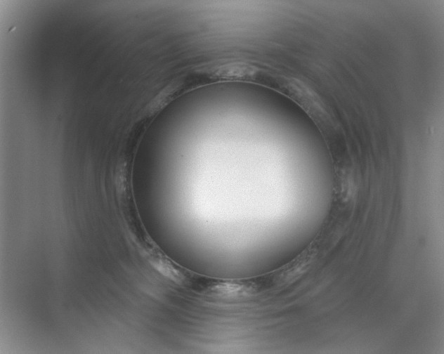X0000075880326200609291646