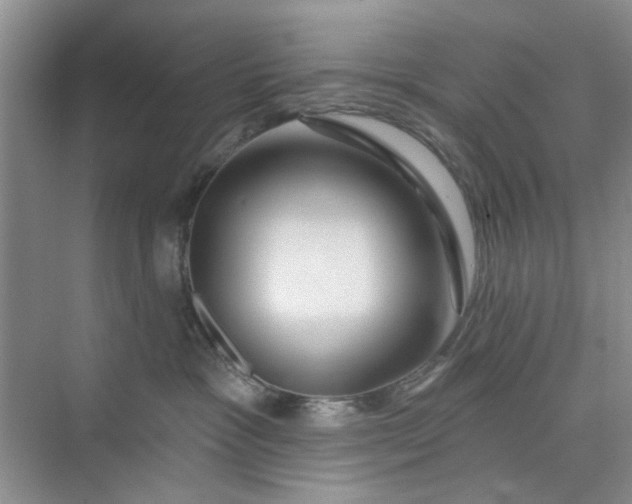 X0000075880333200609291646