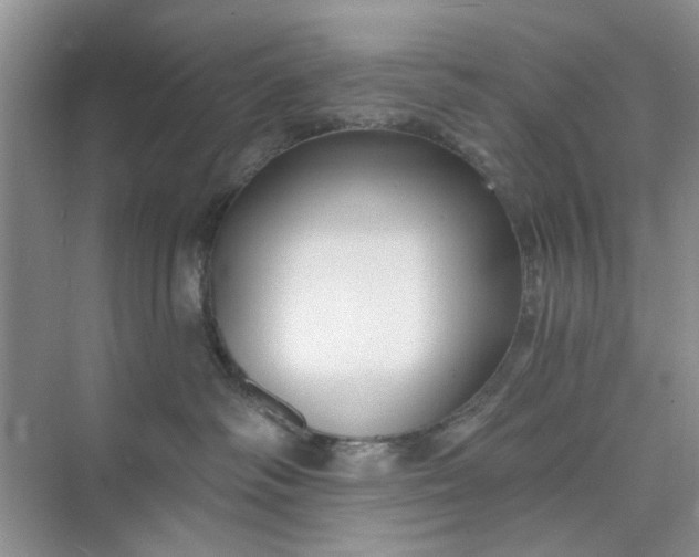 X0000075880334200609291646
