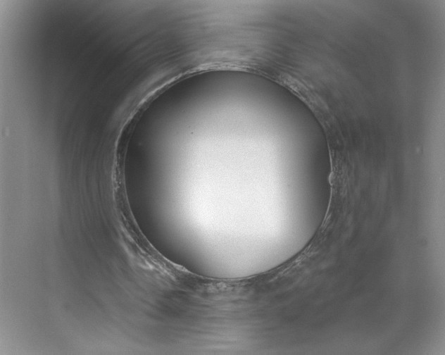 X0000075880338200609291645