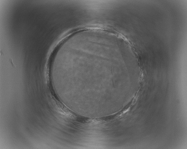 X0000075880343200609291645