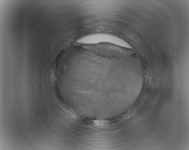 X0000075880371200609291646