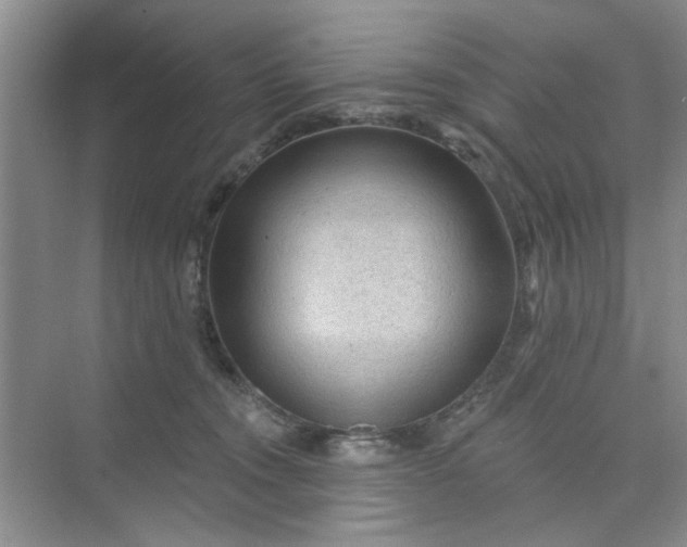 X0000075880372200609291646