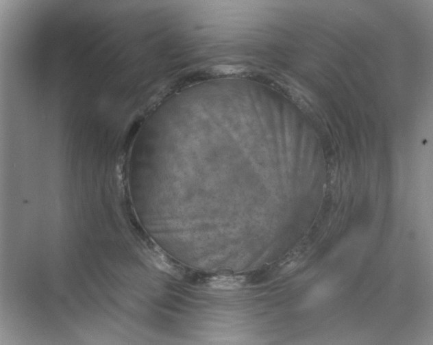 X0000075880373200609291646