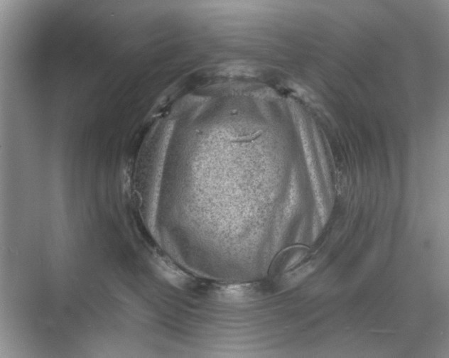 X0000075880382200609291646