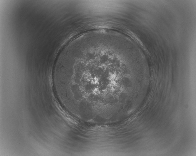 X0000075880386200609291645