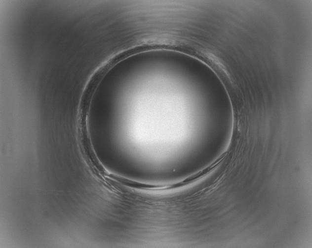 X0000075880388200609291645