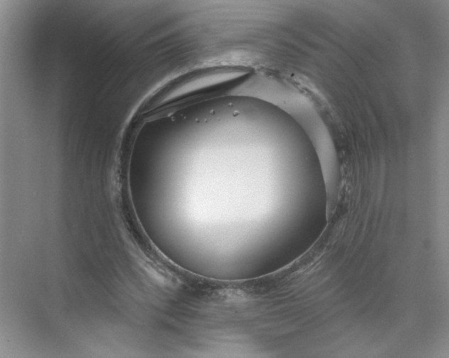 X0000075880392200609291645