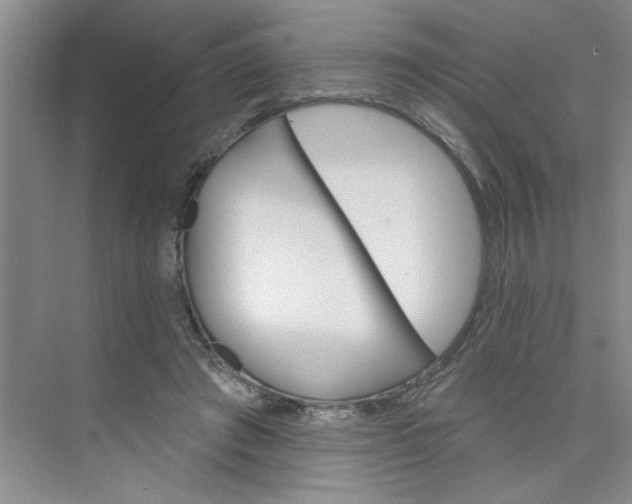 X0000075880401200609291645