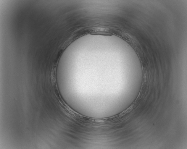 X0000075880409200609291645