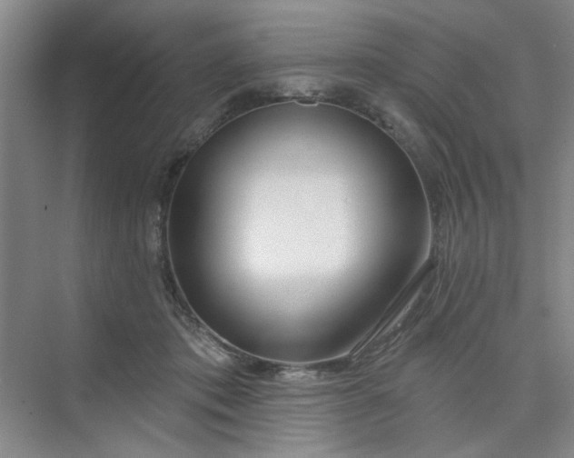 X0000075880413200609291645