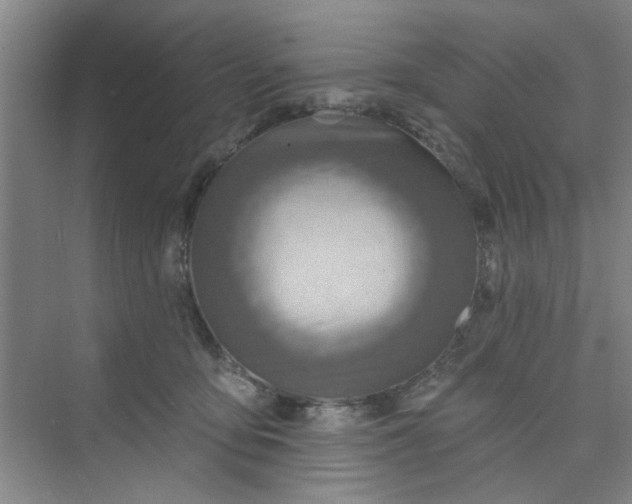 X0000075880419200609291645