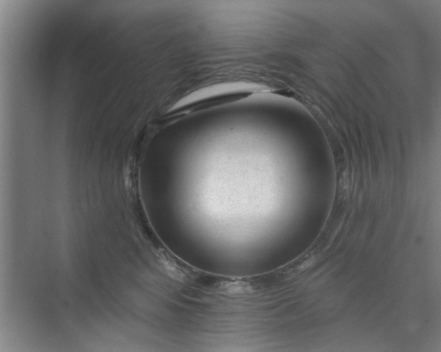X0000075880424200609291645